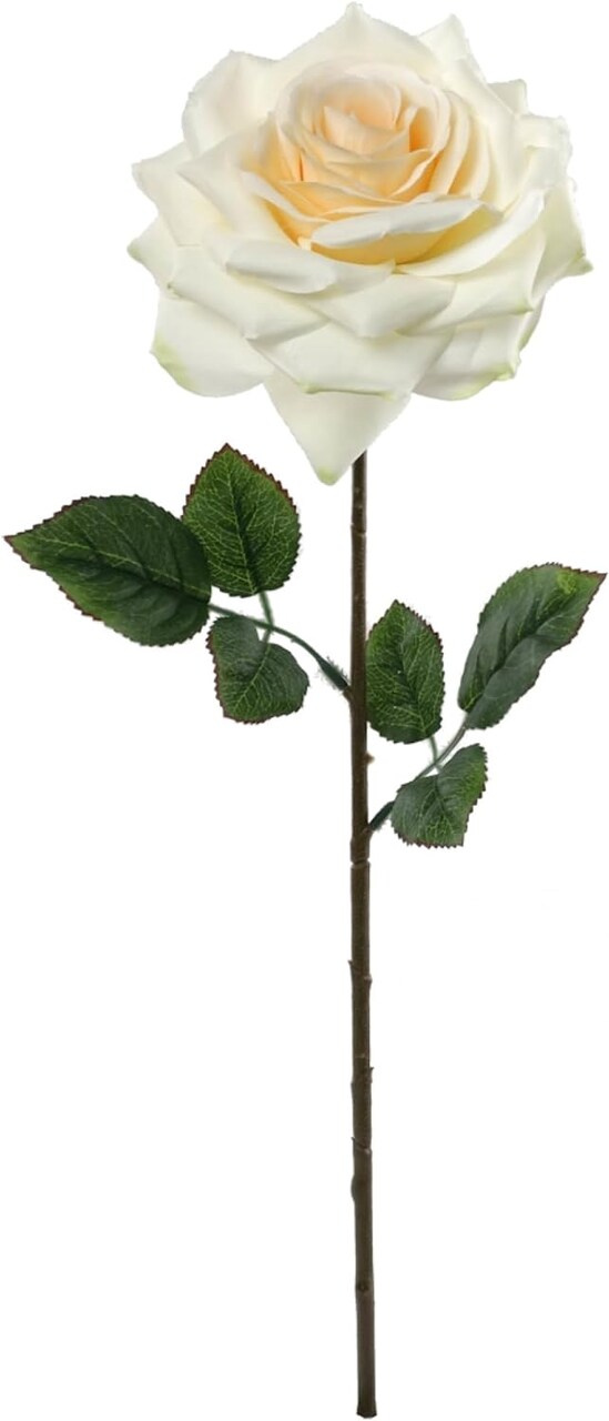 12-Pack: Open Rose Stem with Lifelike Silk Foliage, Floral Home by Artificial Flowers